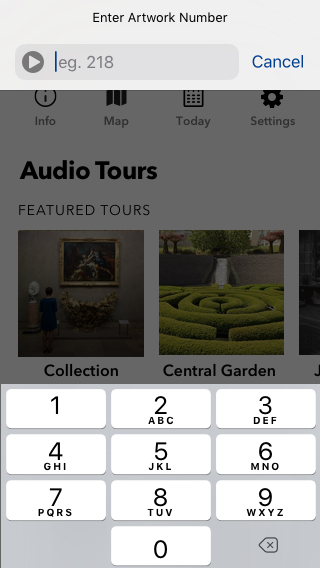 Museum Audio Guide Design - Entering artwork numbers native iOS input 